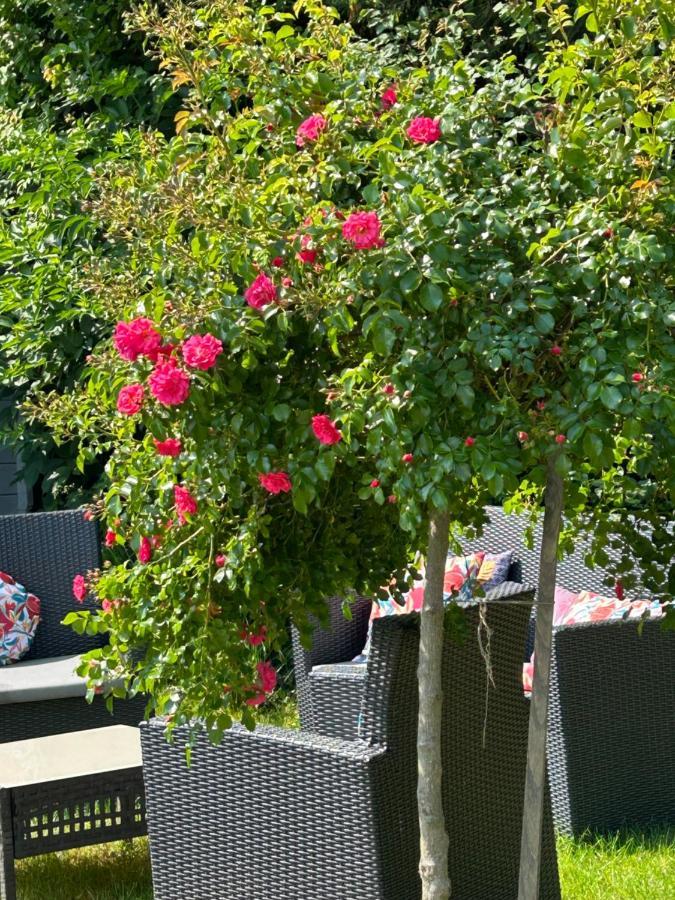 La Glycine B&B Sainte-Colombe  Kültér fotó
